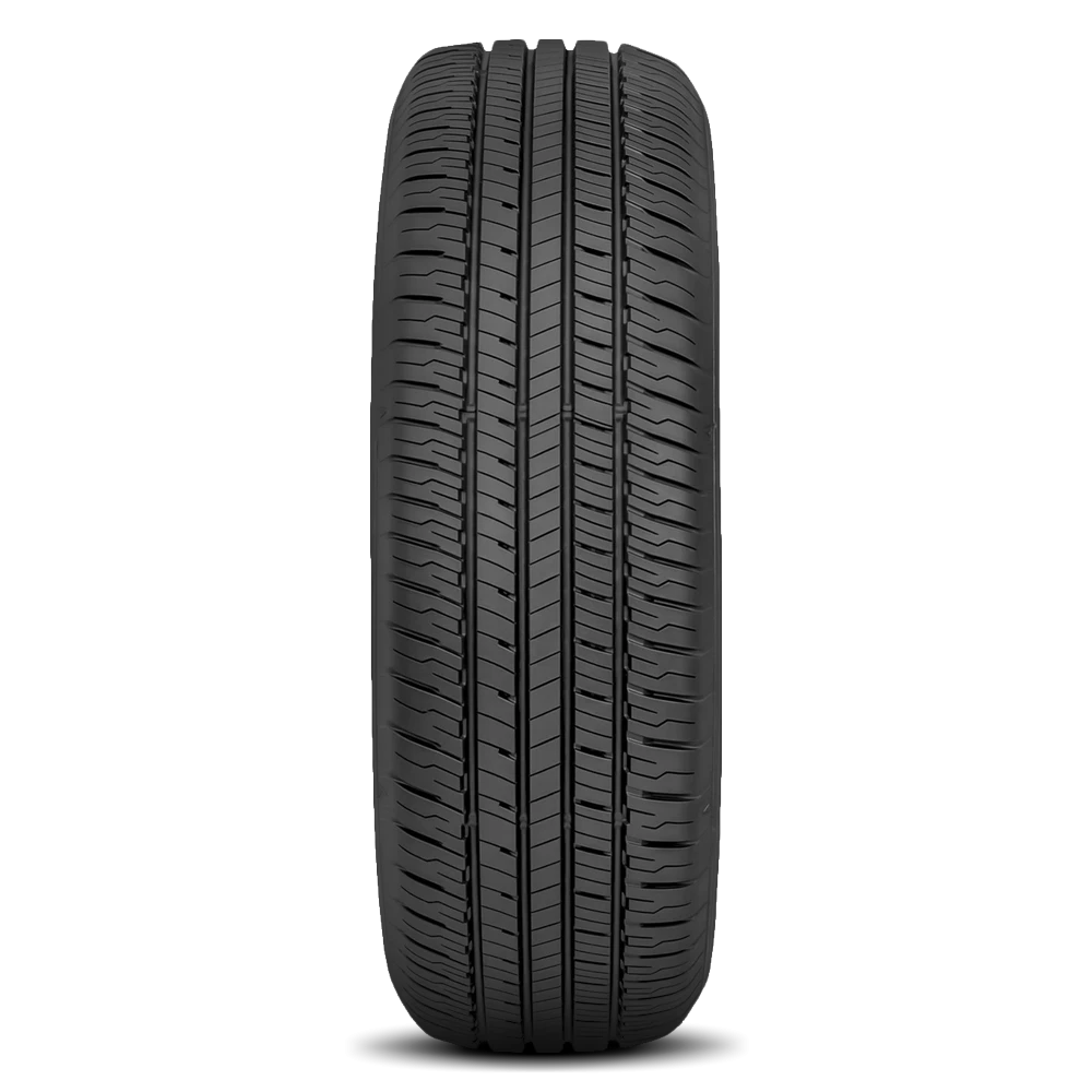 Dunlop Grandtrek PT20 A/S Tires 225/65R17