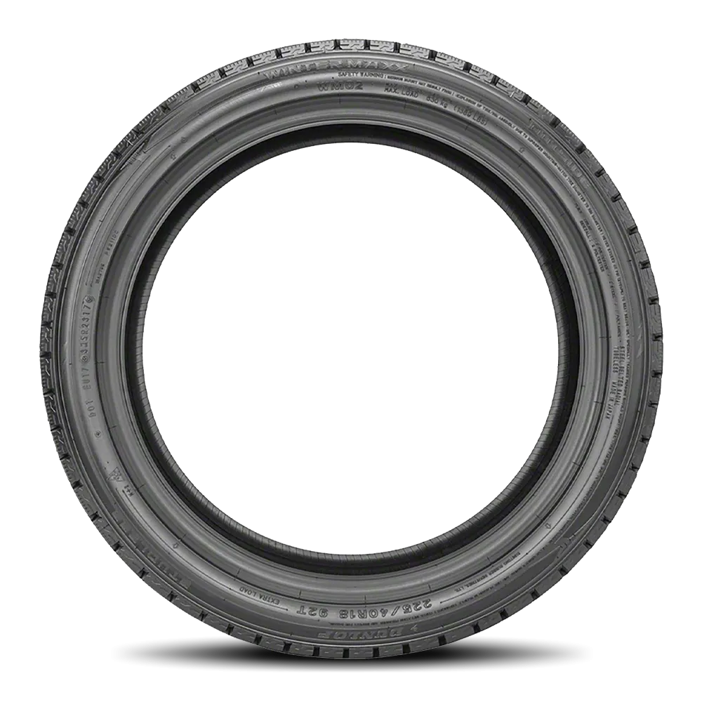 Dunlop Winter Maxx WM02 Tires 215/60R16 XL
