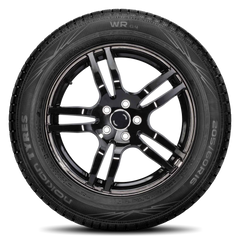 Nokian Nokian WR G4 Tires 205/60R16 WR G4