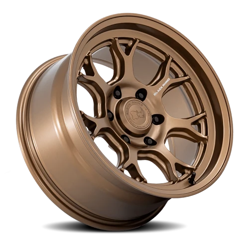 Black Rhino Etosha BZ 17x8.5 +20 6x120mm 66.9mm Matte Bronze