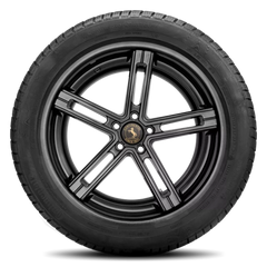 Continental Contiwintercontact TS 830 P Tires 275/40R19 FR