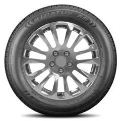 Mastercraft Stratus AS Tires 225/60R16