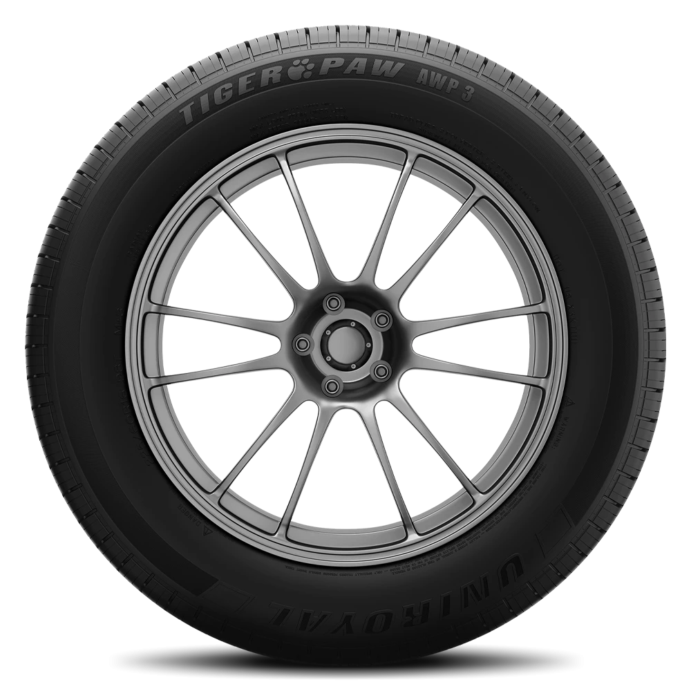 Uniroyal Tiger Paw AWP3 Tires 205/55R16