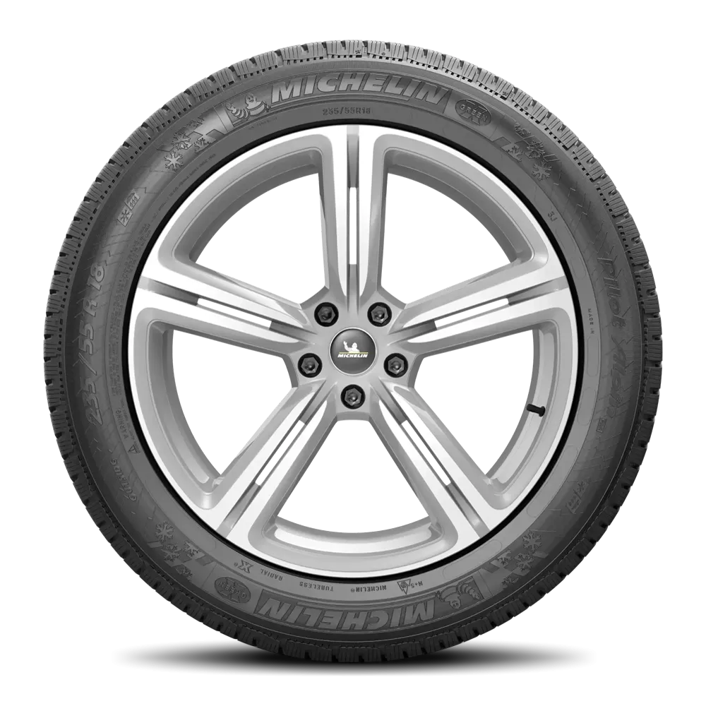 Michelin Pilot Alpin PA4 Tires 295/30R20  N0